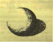 আর্কিটেকচারে রেন্ডারিং