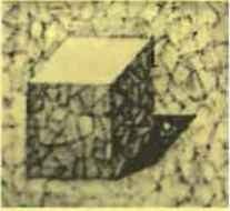 আর্কিটেকচারে রেন্ডারিং