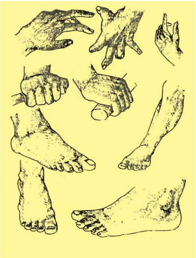 মুক্ত হস্তে অঙ্কন