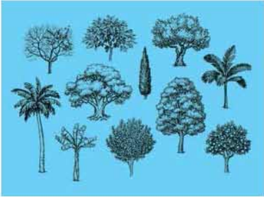 ব্যবহারিকঃ মুক্ত হস্তে অঙ্কন পদ্ধতি