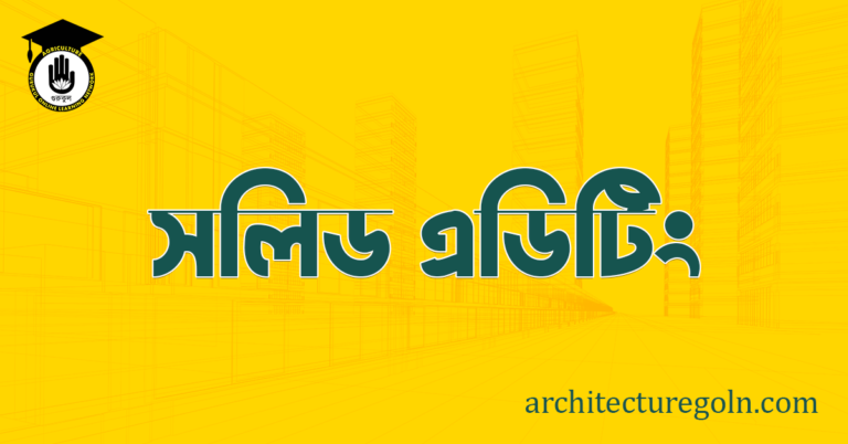 সলিড এডিটিং