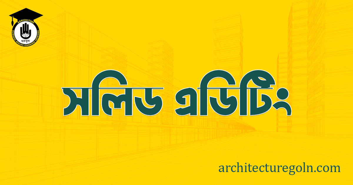 সলিড এডিটিং